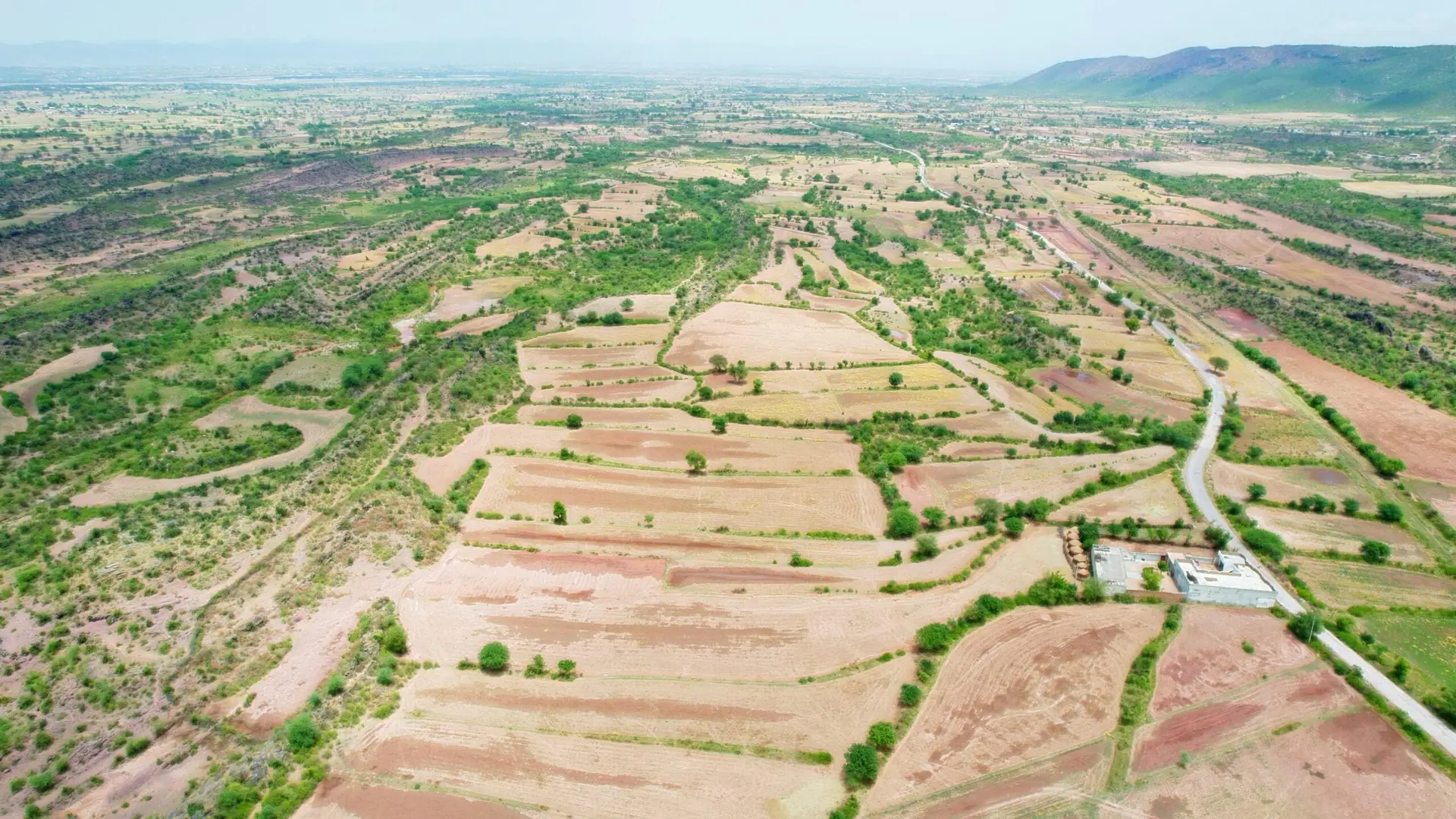 DJI_0177 a