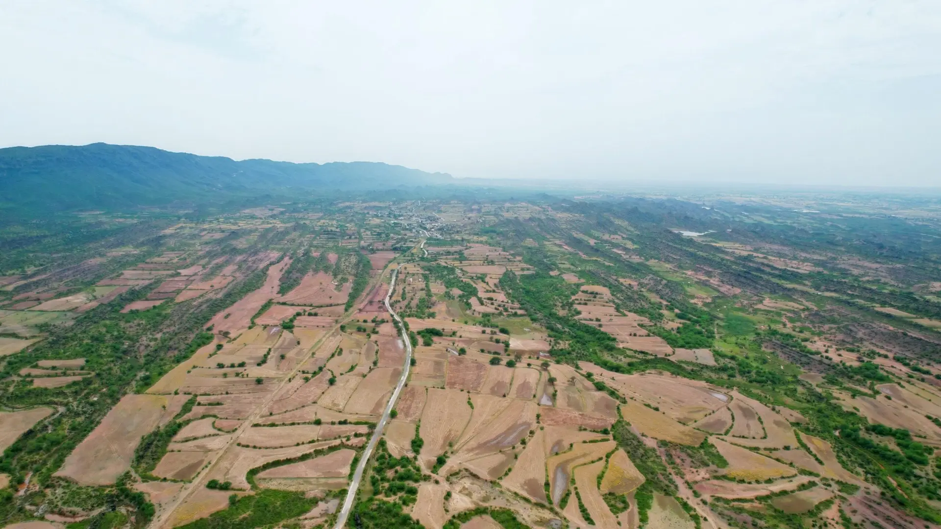DJI_0206 a